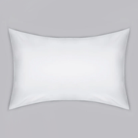 Pillow with Pillowcase