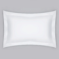 Pillow with Pillowcase