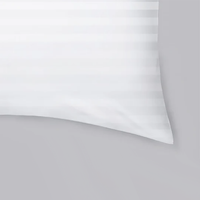 Pillow with Pillowcase